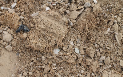 Bodenaushub (verunreinigt) Bild